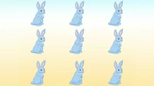 آزمون بینایی: آیا می توانید در 11 ثانیه بگویید چند خرگوش در تصویر وجود دارد؟