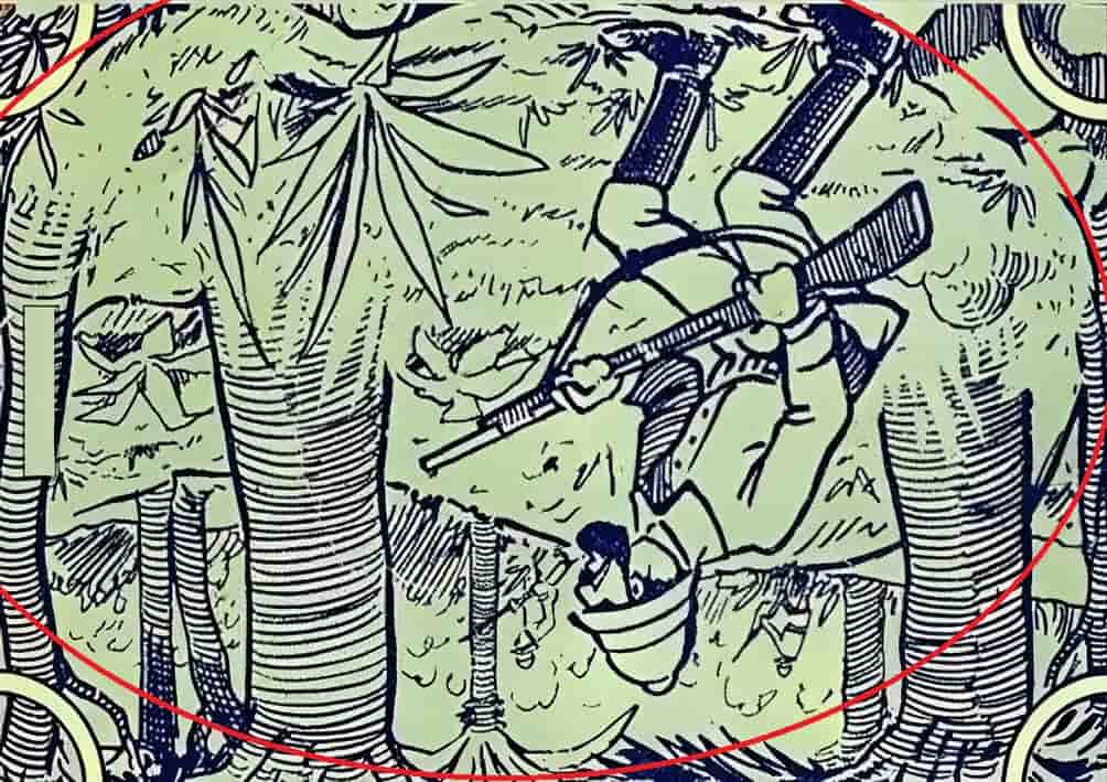 فیل مخفی در جنگل