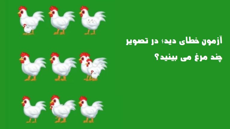 آزمون خطای دید: در تصویر چند مرغ می بینید؟ فقط 15 ثانیه وقت دارید!