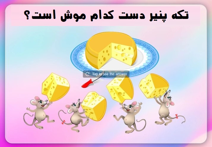 موش و پنیر