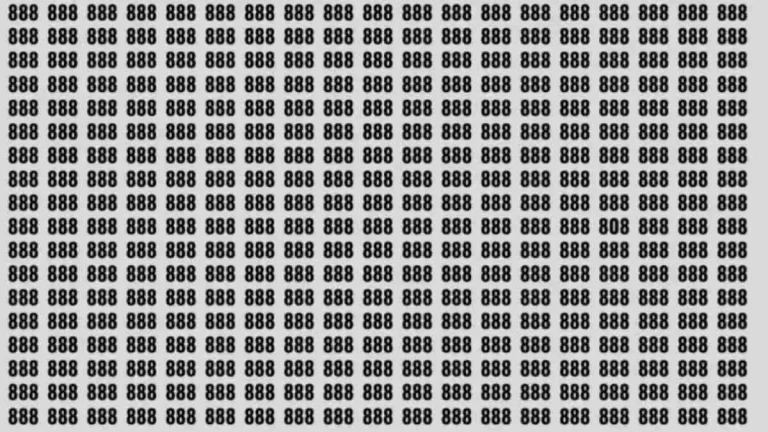 آزمون بینایی؛ آیا می توانید عدد 808 را در 3 ثانیه پیدا کنید؟
