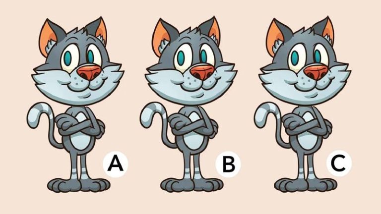 آزمون بینایی گربه متفاوت: تیزبین ها در 7 ثانیه گربه متفاوت را تشخیص دهید!