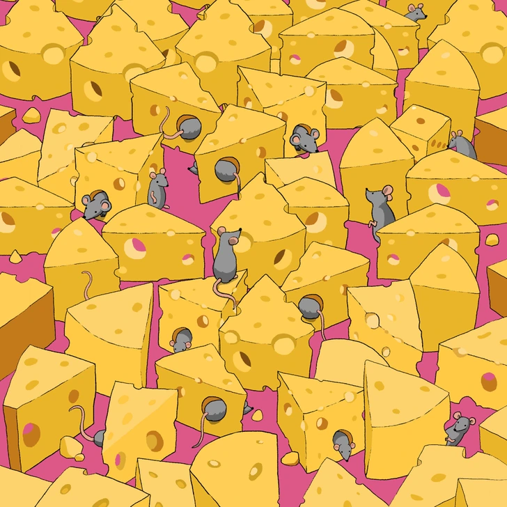 تنها 5 ثانیه فرصت دارید تا تاس پنهان میان تکه های پنیر را پیدا کنید!