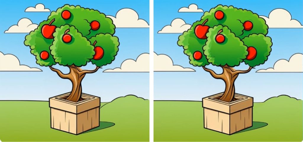 دو تصویر درخت سیب