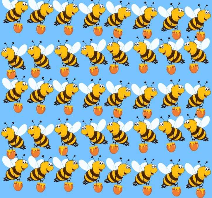 آزمون زنبور عسل متفاوت - تست هوش