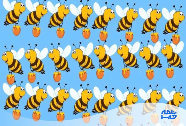 آزمون زنبور عسل متفاوت: کدام زنبور از بقیه فرق دارد؟ در 9 ثانیه حل کنید!