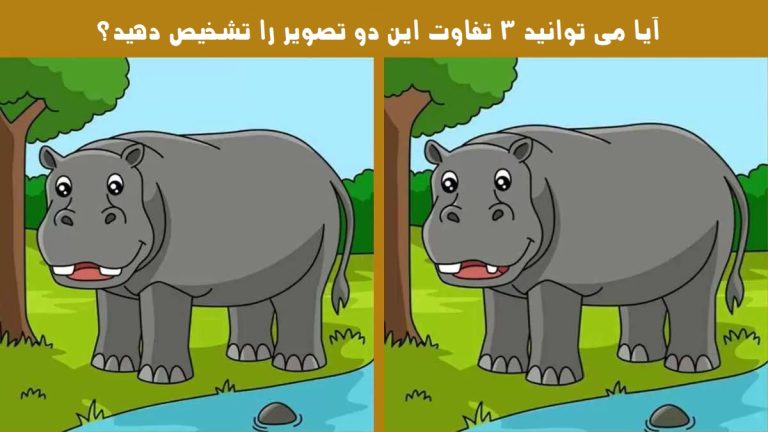 آزمون تفاوت تصویر اسب آبی: 3 تفاوت این دو عکس را پیدا کنید!