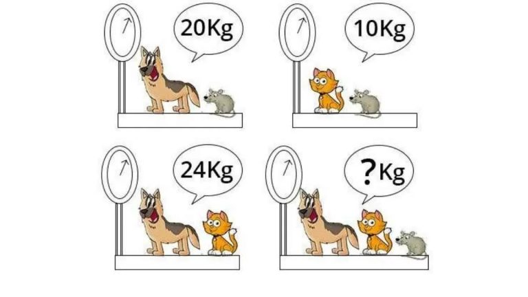 پازل تشخیص وزن حیوانات: اگر باهوشی بگو جواب این سوال چند میشه؟