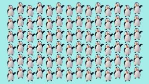 آیا می توانید پنگوئن متفاوت را در 15 ثانیه تشخیص دهید؟