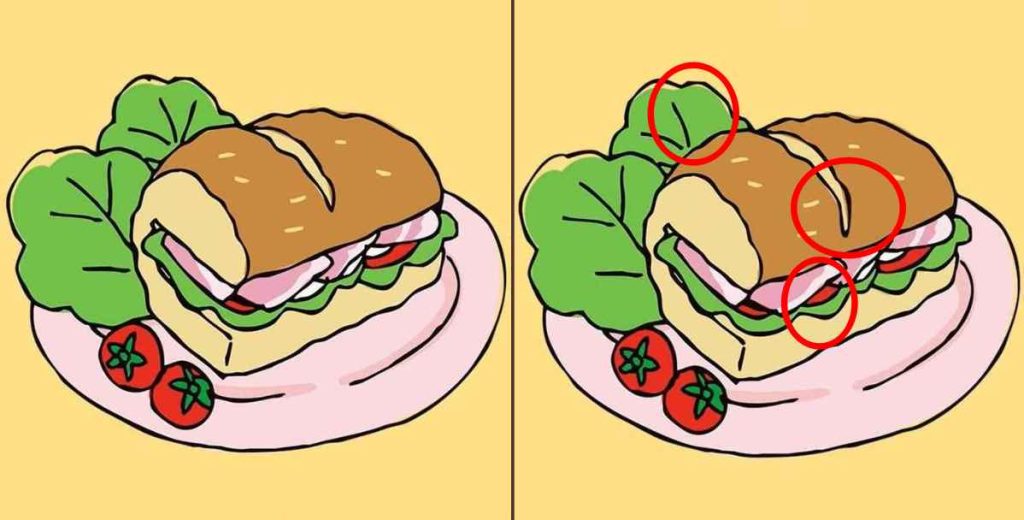 تفاوت ساندویچ ها