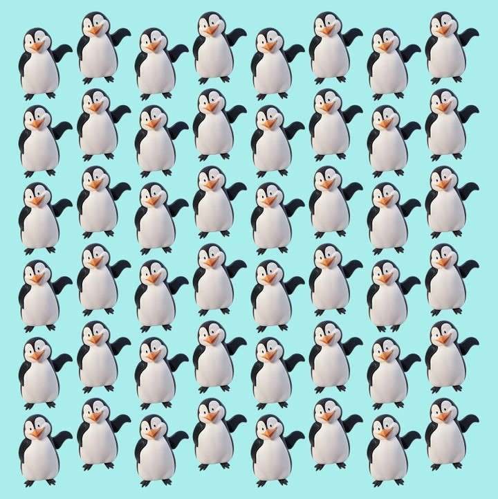 پنگوئن متفاوت را شناسایی کنید