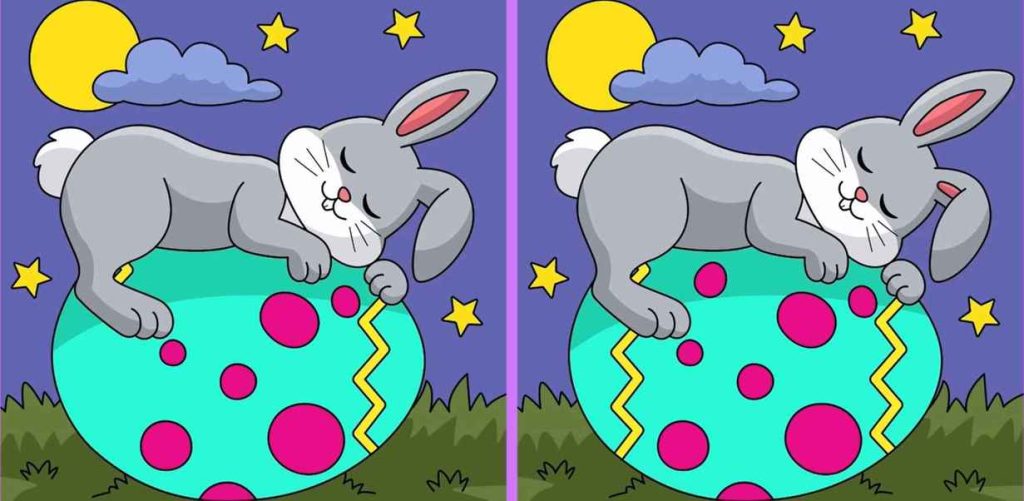 آزمون تشخیص تفاوت تصویر خرگوش
