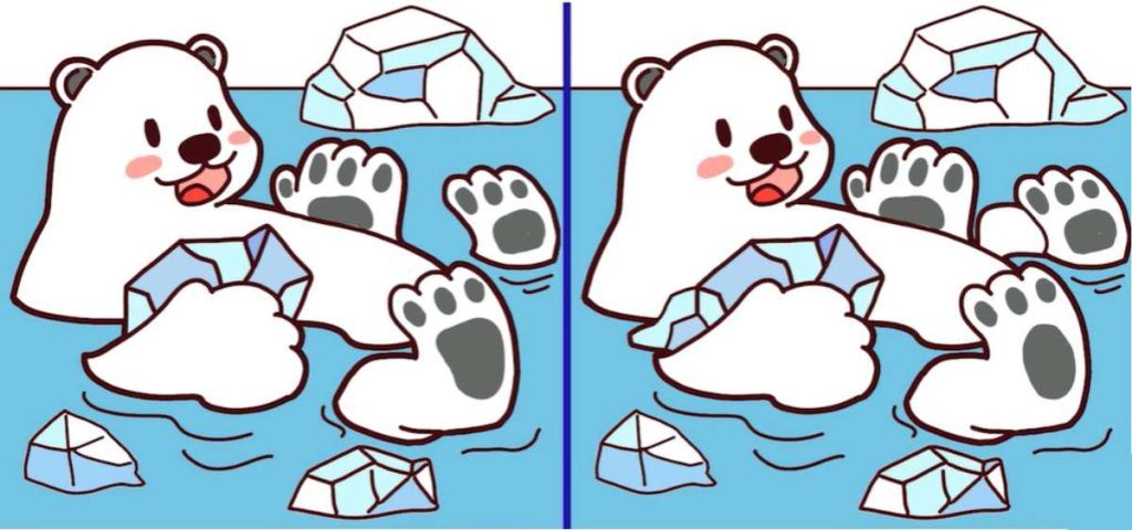 پازل تفاوت خرس قطبی