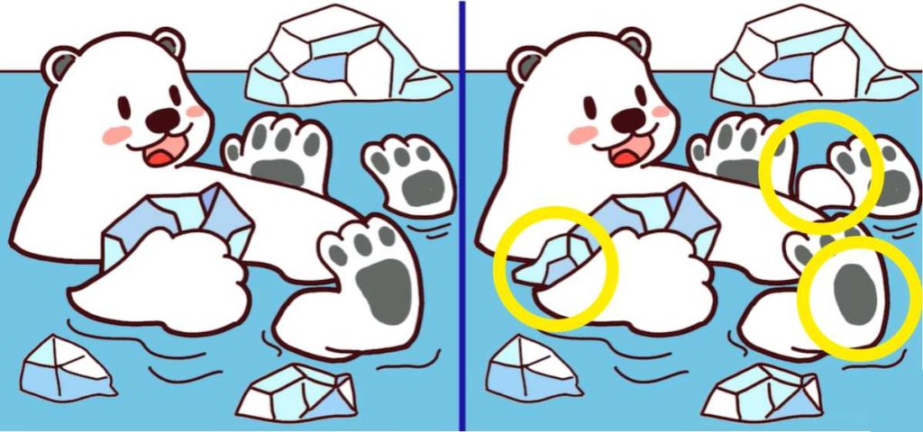 جواب پازل تفاوت خرس قطبی