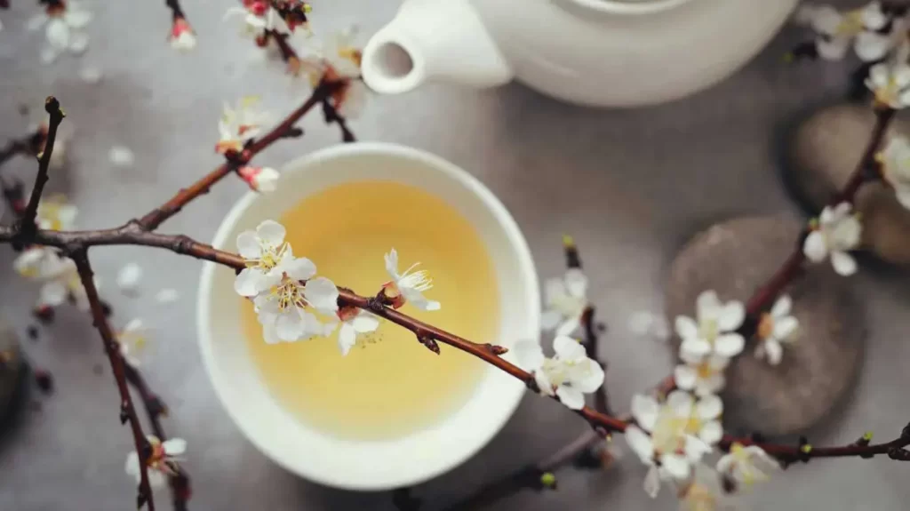 دمنوش برای افزایش سوخت و ساز بدن: چای سفید
