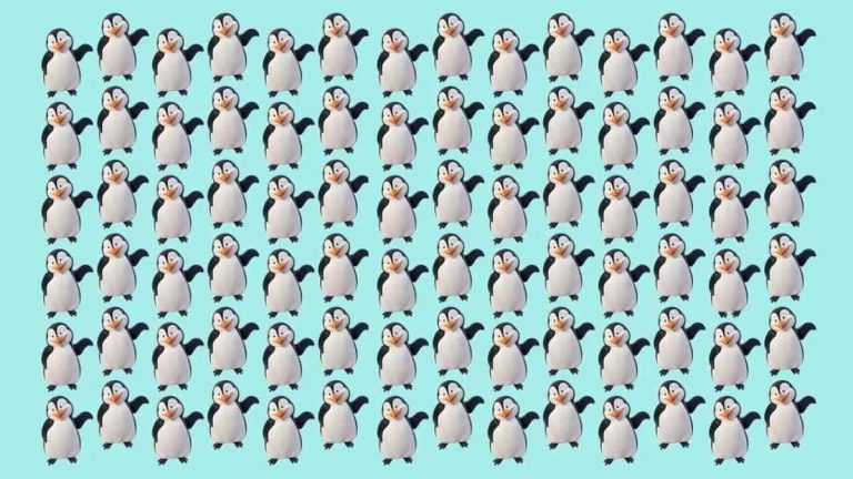 آیا می توانید پنگوئن متفاوت را در 15 ثانیه تشخیص دهید؟