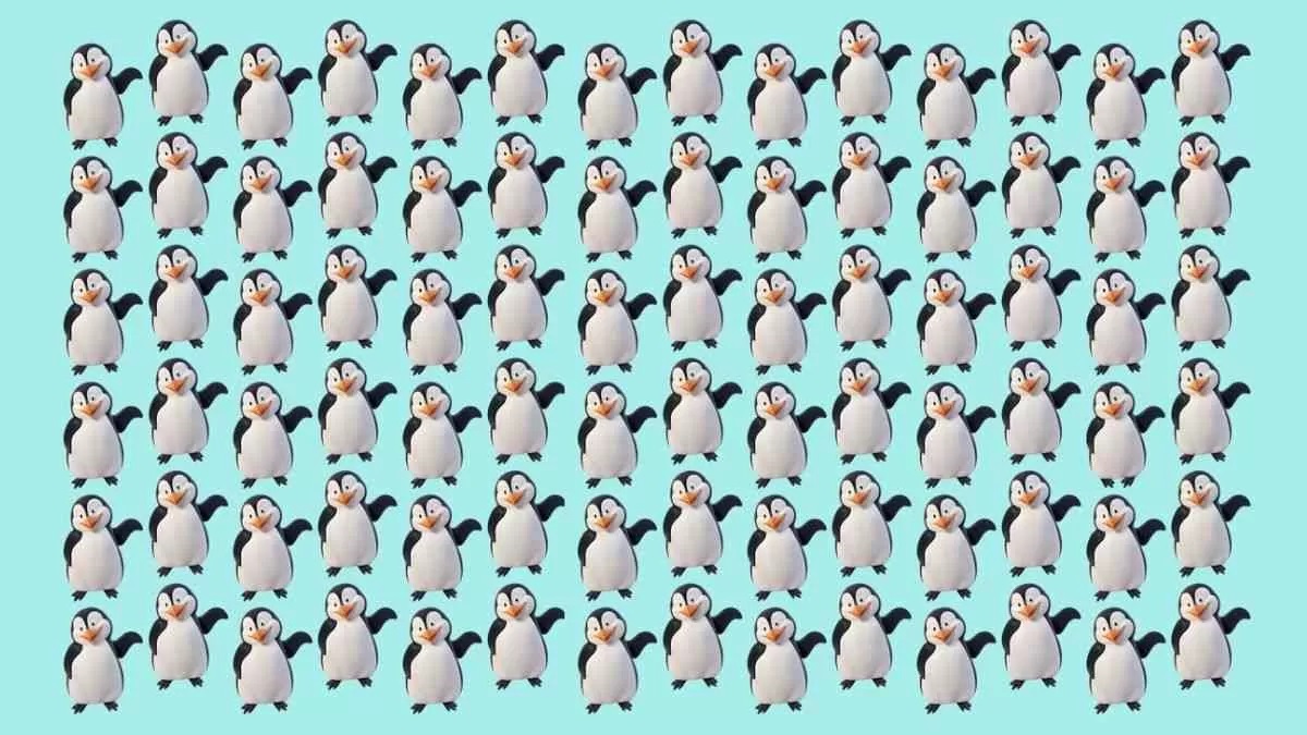 تصویر آزمون تشخیص پنگوئن متفاوت