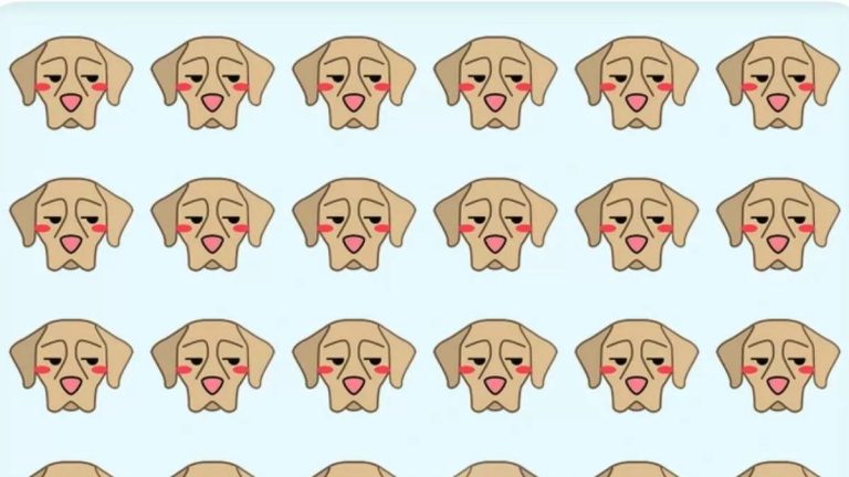 تست بینایی: آیا می توانید سگ متفاوت را در 11 ثانیه تشخیص دهید؟