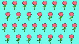 آزمون گل رز متفاوت: رز متفاوت را در 7 ثانیه تشخیص دهید!