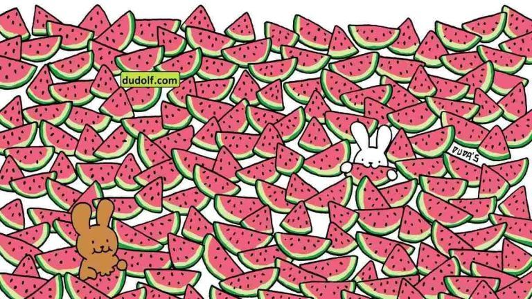 تست بینایی با هندوانه: تیزبین ها 5 هندوانه بی دانه را تشخیص دهید!