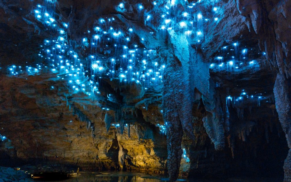 غارهای کرم شب‌تاب ویتومو، نیوزلند