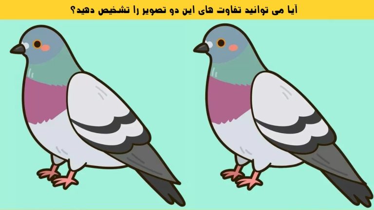 3 تفاوت این دو کبوتر را تشخیص دهید!