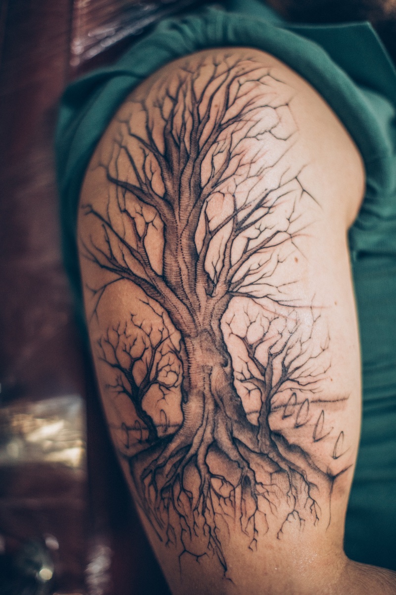 تاتو درخت روی بازو