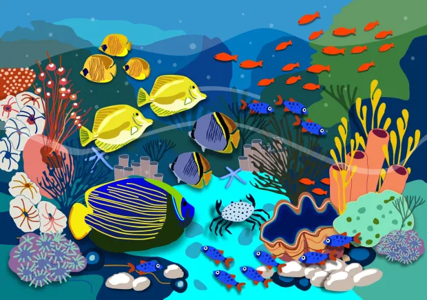آیا می توانید در 7 ثانیه صدف دریایی مخفی شده در تصویر را پیدا کنید؟
