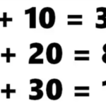 آیا می توانید این معمای ریاضی را در 3 حل کنید?