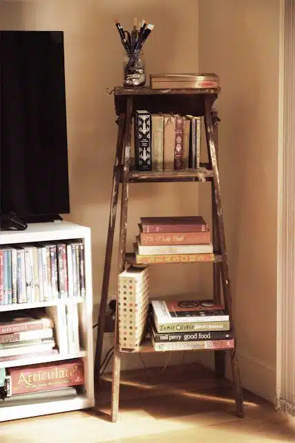 استفاده از نردبان برای چیدمان کتاب ها