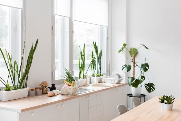 گیاهان آپارتمانی مناسب آشپزخانه