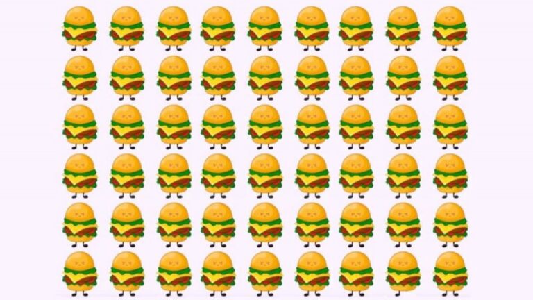 تست بینایی: زیر ۱۰ ثانیه همبرگر متفاوت در تصویر رو باید پیدا کنی