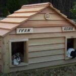 ویژگی‌های خانه مناسب برای سگ و گربه