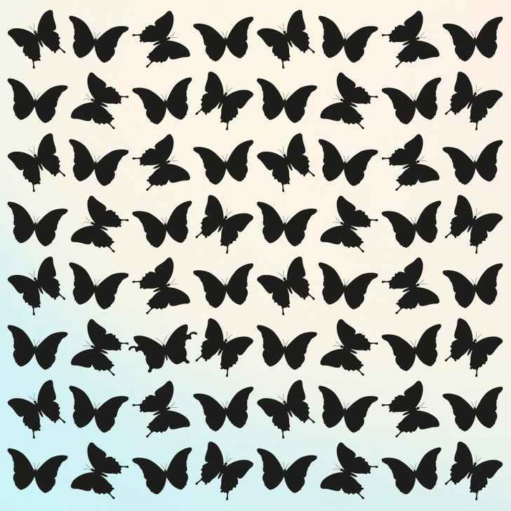 تست بینایی: آیا می توانید پروانه متفاوت را در مدت 5 ثانیه پیدا کنید؟