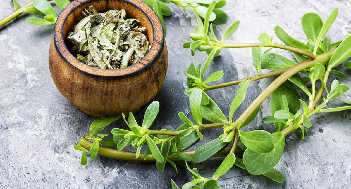 طرز تهیه دمنوش خرفه (نوشیدنی بهاری با 3 ترکیب فوق العاده)