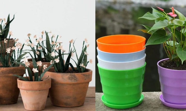 گلدان سرامیکی یا گلدان پلاستیکی؛ کدام انتخاب بهتری است؟