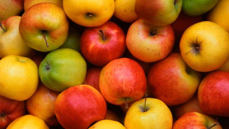 میوه برای آب کردن شکم؛ این 6 میوه کمک میکنه سریع تر وزن کم کنی!