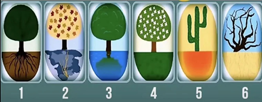 تست شخصیت شناسی انتخاب درخت