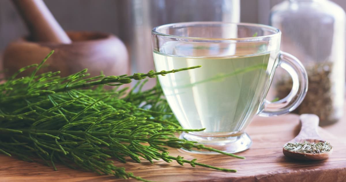 طرز تهیه دمنوش گیاه دم اسب (مورد 1 برای خانم ها خیلی مهم است)